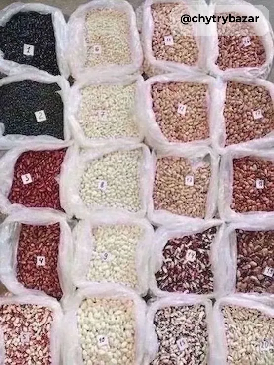 Beans Wholesale from a Ukrainian Company