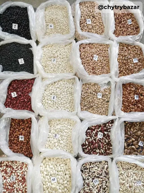 Premium Beans from Ukraine 