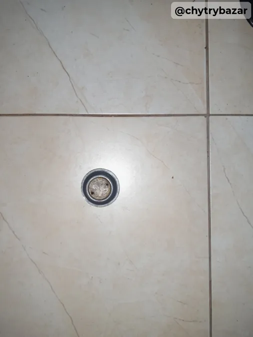 Pionier 550