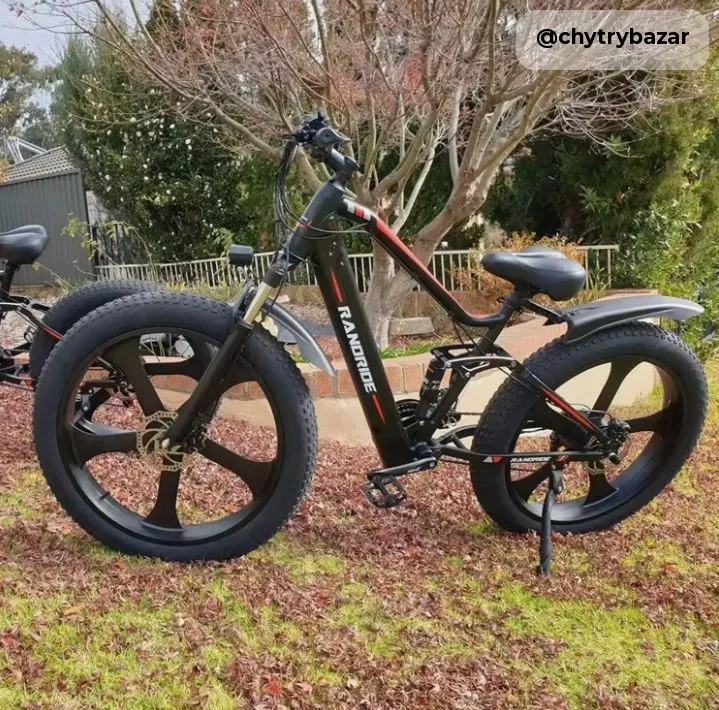 RANDRIDE 20AH Fat Tire Ebike 1000W 