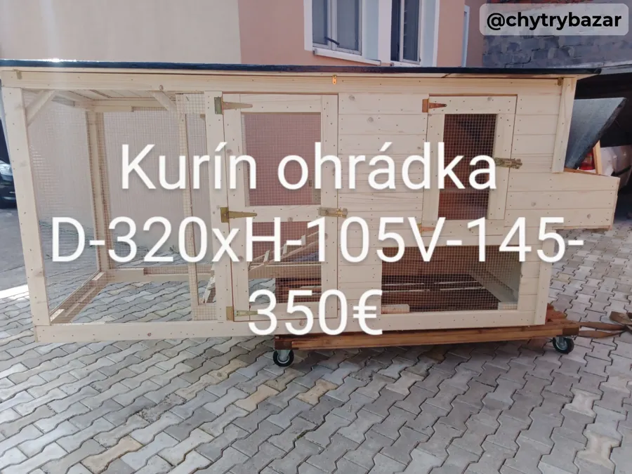 Psia búda Latrina suché wc kurín 